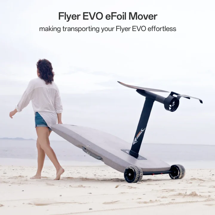 Flyer Evo - Max Plus - Image 10